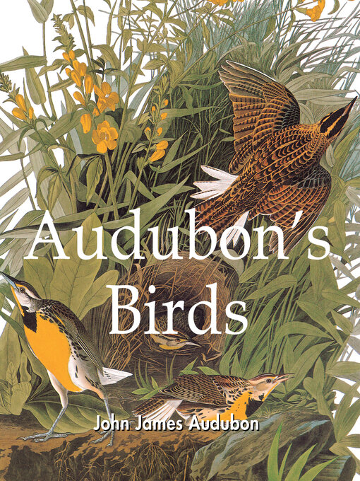 Title details for Audubon's Birds by John James Audubon - Available